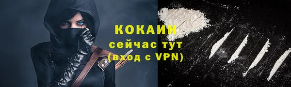 индика Лихославль