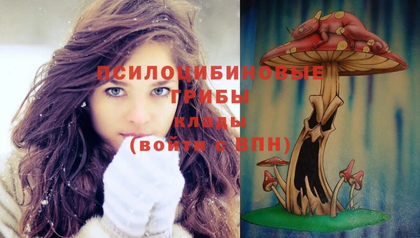 а пвп мука Лиски