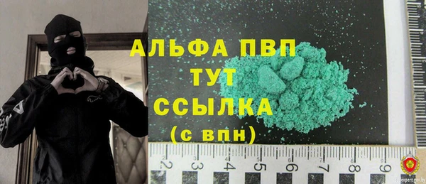 индика Лихославль