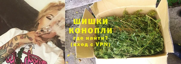 ПСИЛОЦИБИНОВЫЕ ГРИБЫ Липки