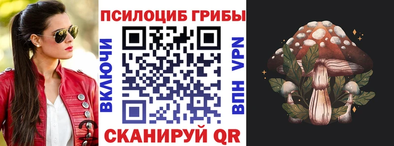 mega ссылки  Таштагол  Псилоцибиновые грибы Psilocybe 